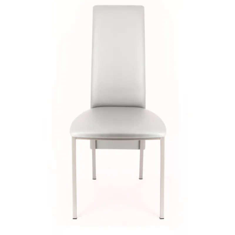 Perfecta Elyn Chaise contemporaine de salle à manger en simili> Chaise De Cuisine|Chaise De Salle à Manger
