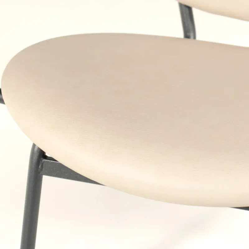Carrier Titan ® Fauteuil confort pour personne à forte corpulence> Chaise De Cuisine|Chaise De Salle à Manger
