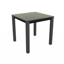 Perfecta Verona Table snack carrée belge en stratifié pieds en métal> Table De Cuisine